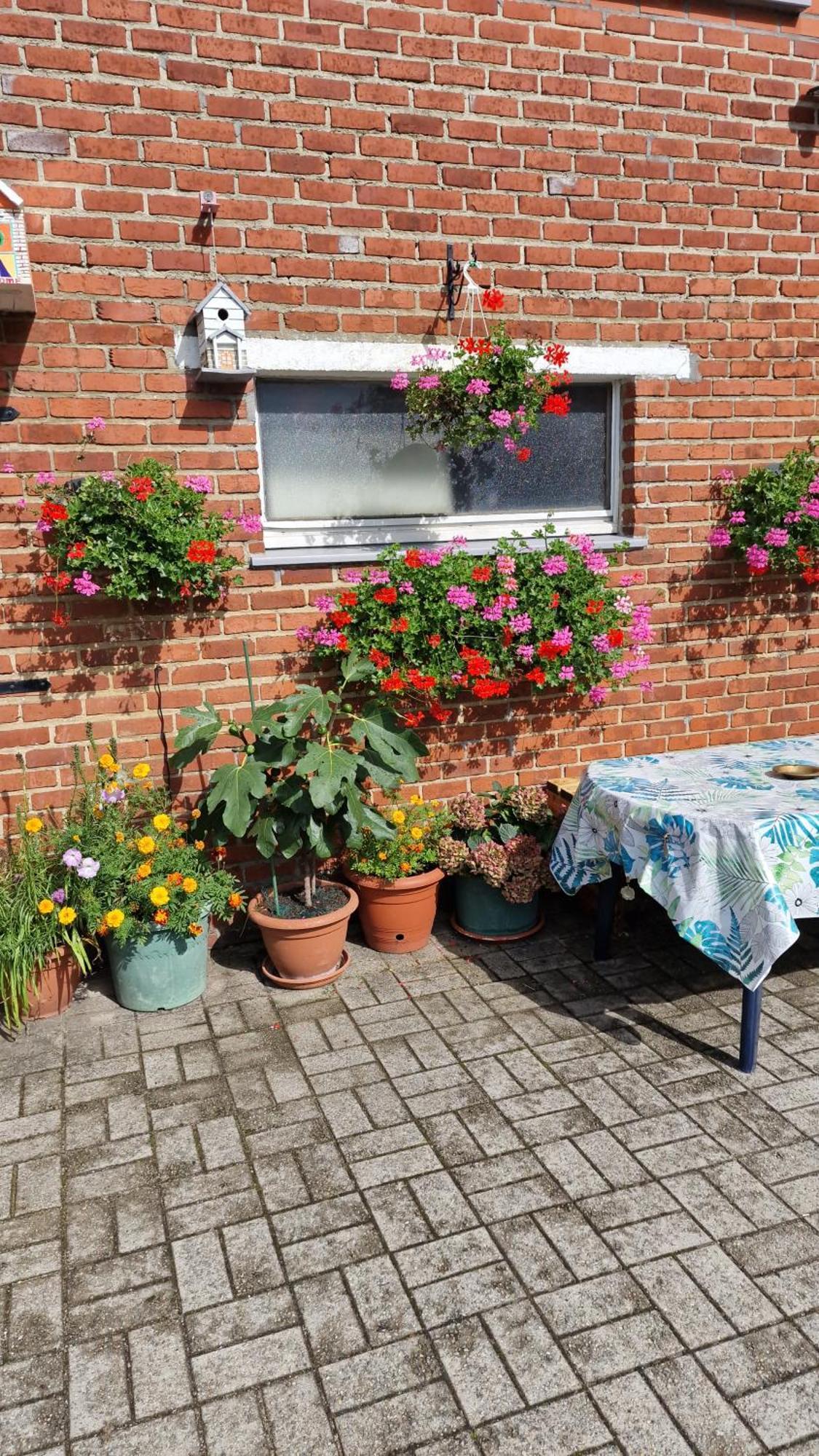 Apartmán Mignon Soumagne Exteriér fotografie